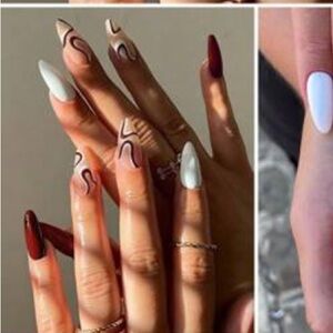 Elegant Multicolor Nail Art Set